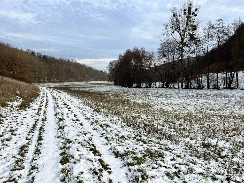 22-12-19 13-11-50 3633